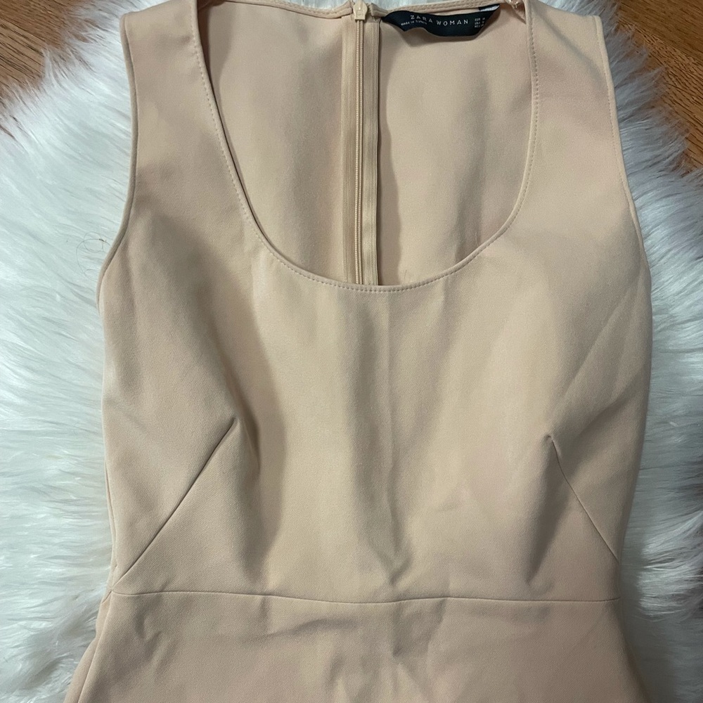 Zara Dress Bodycon